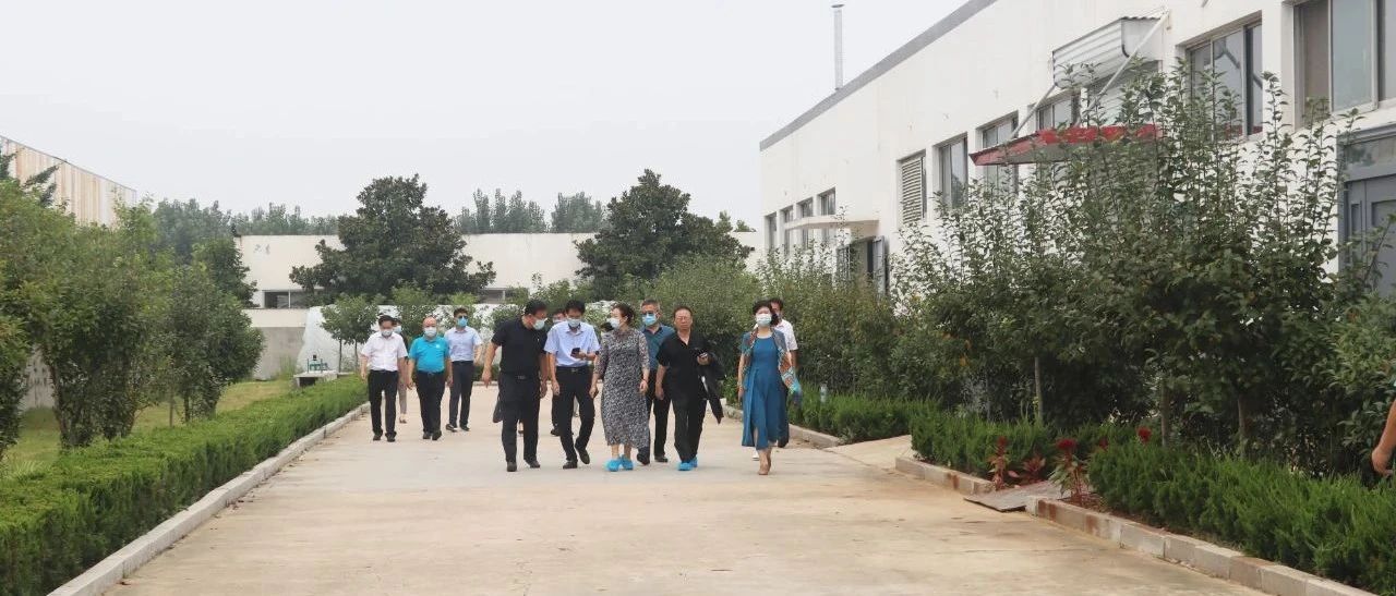 国济尚领 | 考察调研谋新篇，凝心聚力促发展