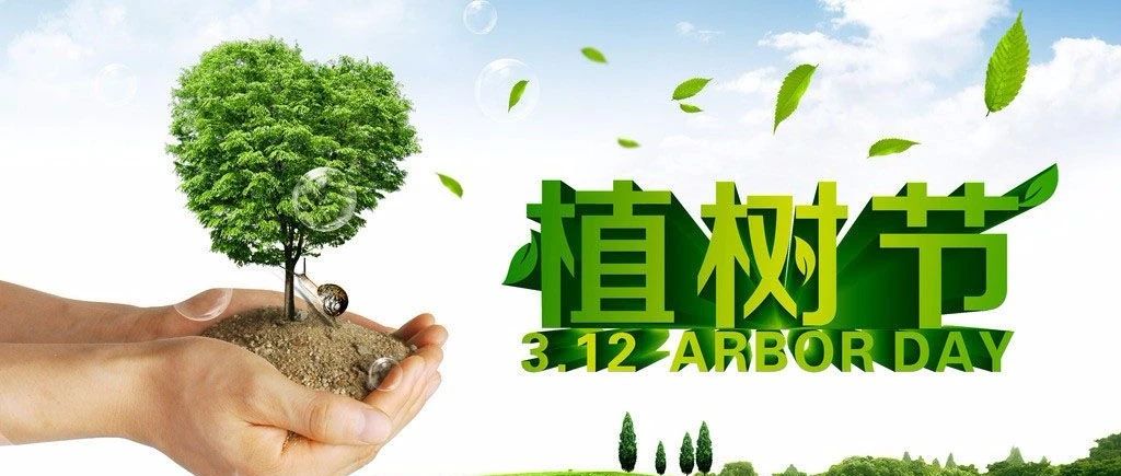 植树节 | 每一颗树，都是用心种下的希望