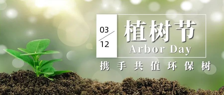 3.12植树节 | 种下希望 收获美好