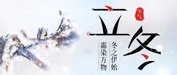 立冬 | 冬之伊始，万象待新